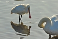 08 02 15_1420_edited-1